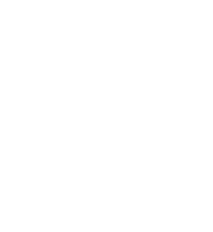 Deposit Protection Scheme logo